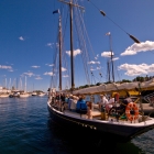 1 - Camden Windjammer Fest 2010